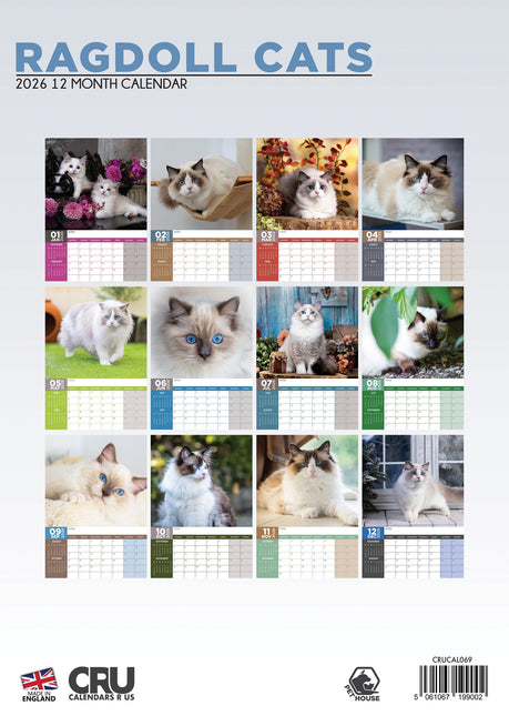 CalendarsRUs Ragdoll A3 Kalender 2026