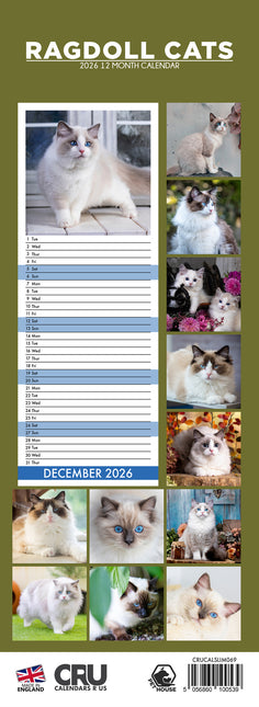 CalendarsRUs Ragdoll Slimline Kalender 2026