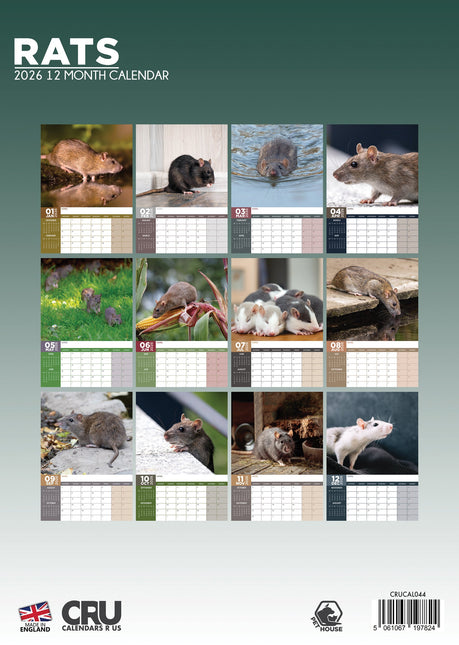 CalendarsRUs Ratten A3 Kalender 2026