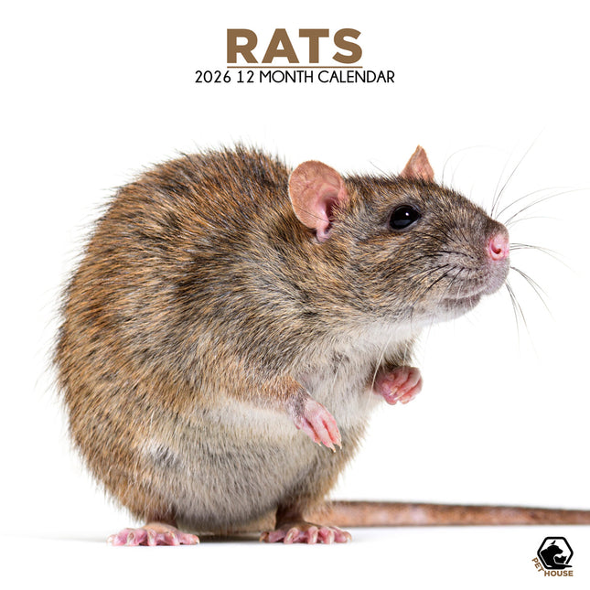 CalendarsRUs Ratten Kalender 2026