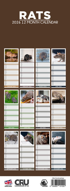 CalendarsRUs Ratten Slimline Kalender 2026