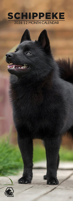 CalendarsRUs Schipperke Slimline Kalender 2026