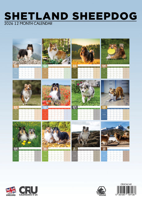 CalendarsRUs Shetland Sheepdog A3 Kalender 2026