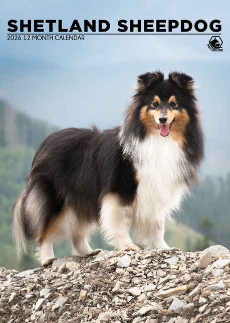 CalendarsRUs Shetland Sheepdog A3 Kalender 2026