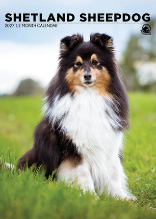 CalendarsRUs Shetland Sheepdog A3 Kalender 2027