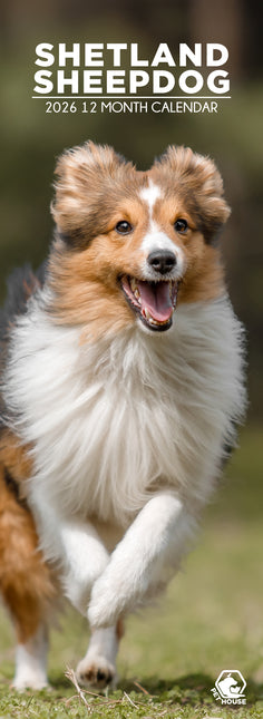 CalendarsRUs Shetland Sheepdog Slimline Kalender 2026