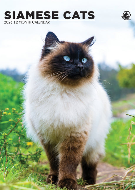 CalendarsRUs Siamees A3 Kalender 2026