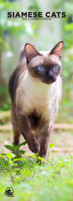 CalendarsRUs Siamees Slimline Kalender 2026