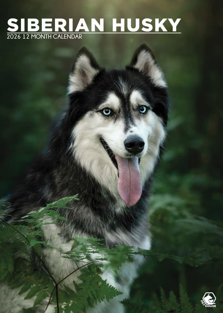 CalendarsRUs Siberian Husky A3 Kalender 2026