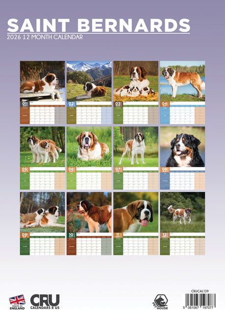 CalendarsRUs Sint Bernard A3 Kalender 2026