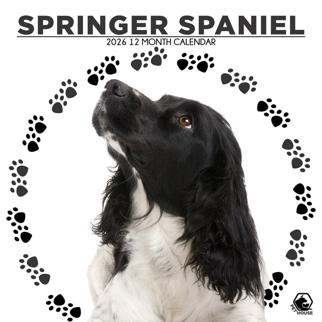 CalendarsRUs Springer Spaniel Kalender 2026