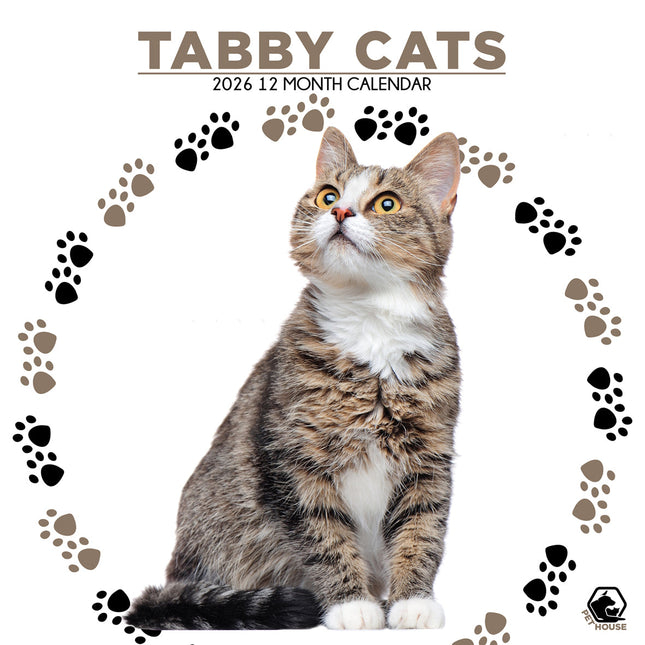 CalendarsRUs Tabby Katten Kalender 2026