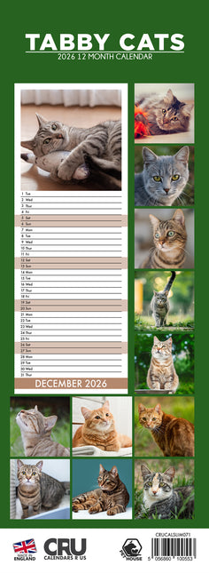 CalendarsRUs Tabby Katten Slimline Kalender 2026