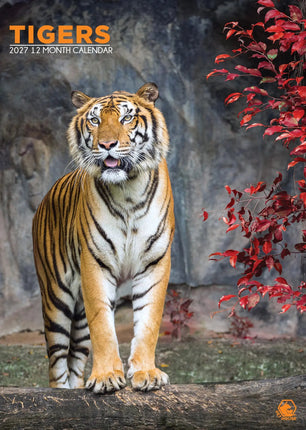 CalendarsRUs Tijger A3 Kalender 2027