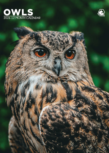 CalendarsRUs Uilen A3 Kalender 2026