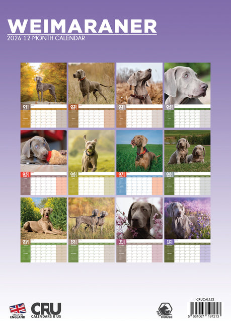 CalendarsRUs Weimaraner A3 Kalender 2026