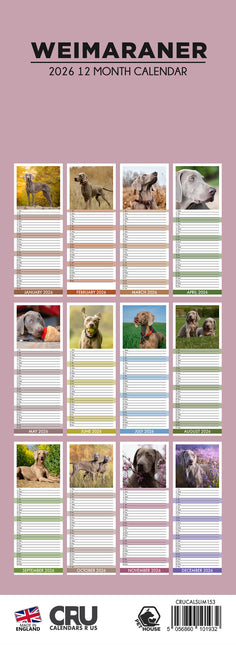 CalendarsRUs Weimaraner Slimline Kalender 2026