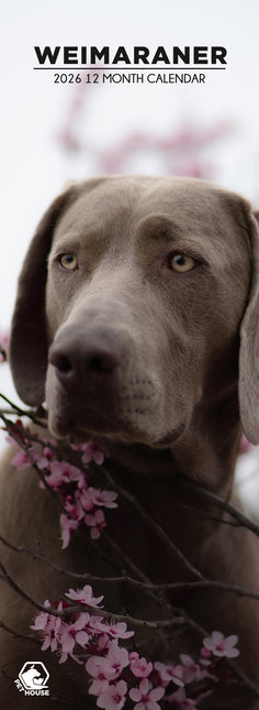 CalendarsRUs Weimaraner Slimline Kalender 2026