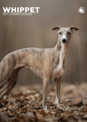 CalendarsRUs Whippet A3 Kalender 2027