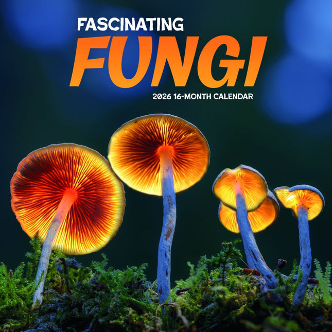 CarouselCalendars Bijzondere Paddenstoelen Kalender 2026