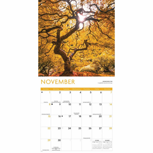 CarouselCalendars Bomen Kalender 2026