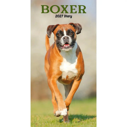 CarouselCalendars Boxer Slim Agenda 2027