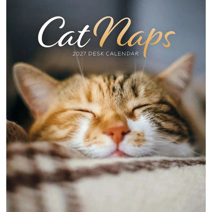 CarouselCalendars Cat Naps Deskkalender 2027