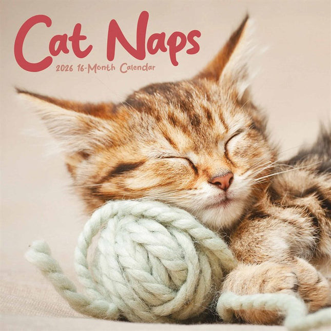 CarouselCalendars Cat Naps Kalender 2026