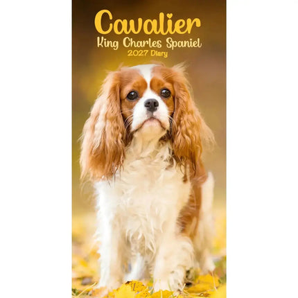 CarouselCalendars Cavalier King Charles Spaniel Slim Agenda 2027