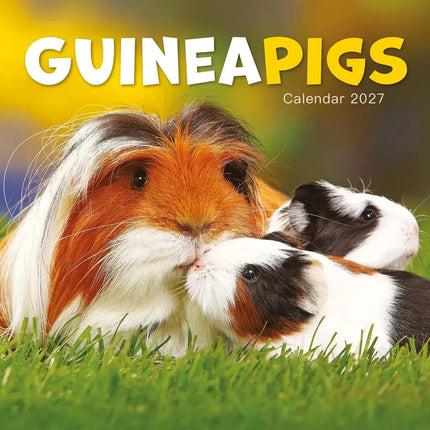 CarouselCalendars Cavia Kalender 2027 Mini