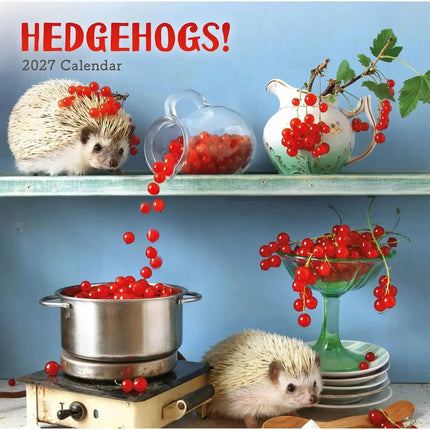 CarouselCalendars Egel! Kalender 2027