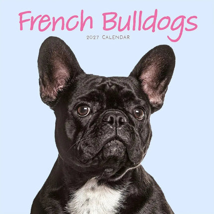 CarouselCalendars Franse Bulldog Kalender 2027 Mini