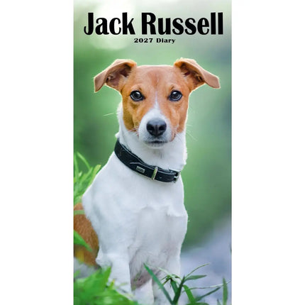 CarouselCalendars Jack Russell Terrier Slim Agenda 2027