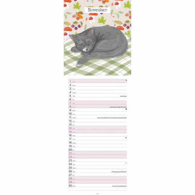 CarouselCalendars Katten Illustraties Kalender 2026 Slimline