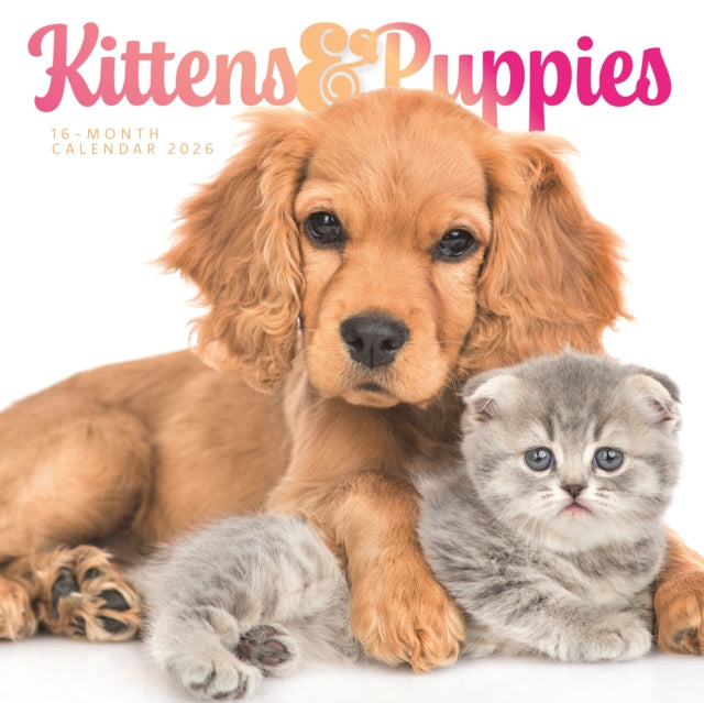 CarouselCalendars Kittens en Puppies Kalender 2026