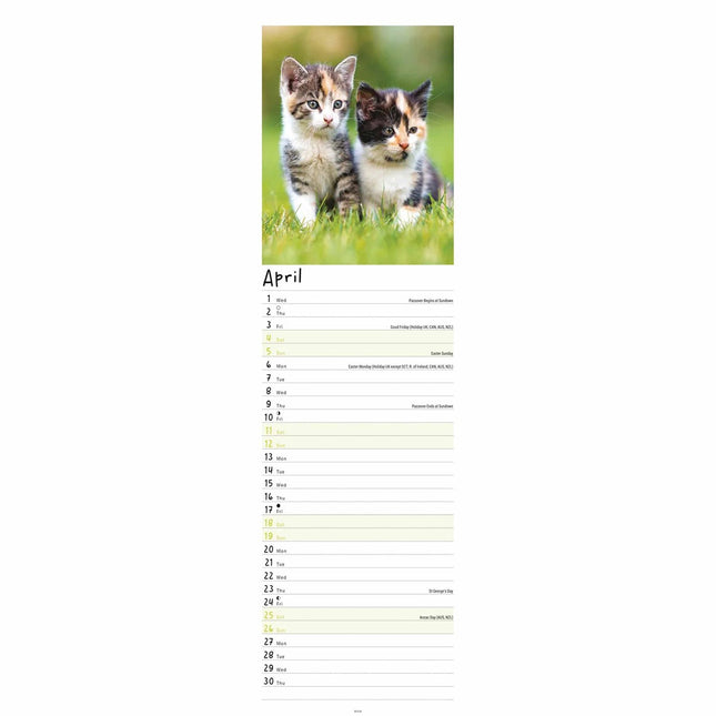 CarouselCalendars Kittens Kalender 2026 Slimline