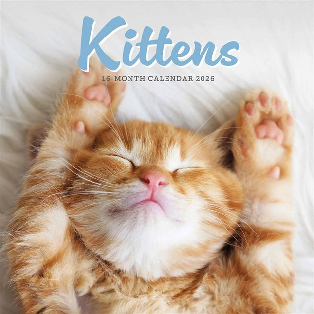 CarouselCalendars Kittens Mini Kalender 2026