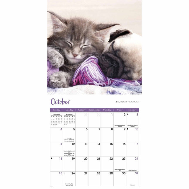 CarouselCalendars Kittens & Puppies Mini Kalender 2026