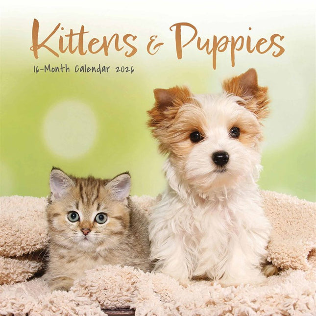 CarouselCalendars Kittens & Puppies Mini Kalender 2026