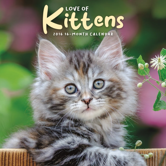 CarouselCalendars Love of Kittens Mini Kalender 2026