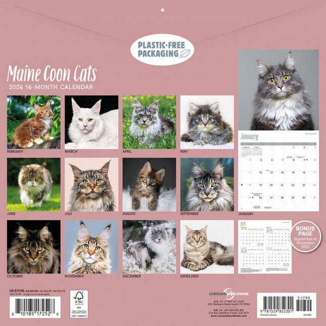 CarouselCalendars Maine Coon Kalender 2026