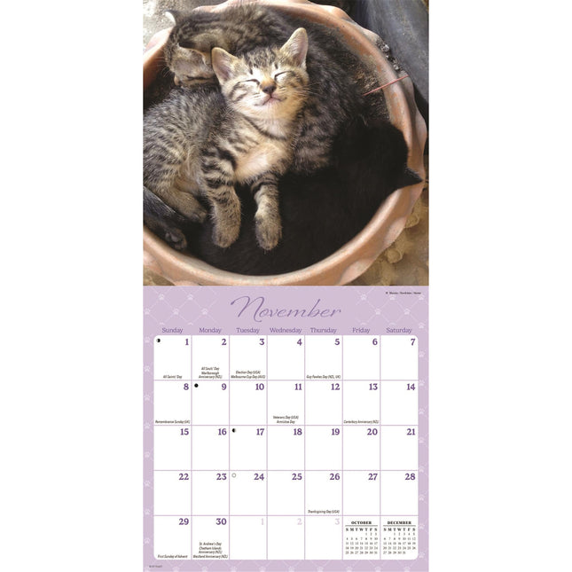 CarouselCalendars Nap Time Mini Kalender 2026