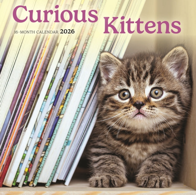 CarouselCalendars Nieuwsgierige Kittens Mini Kalender 2026