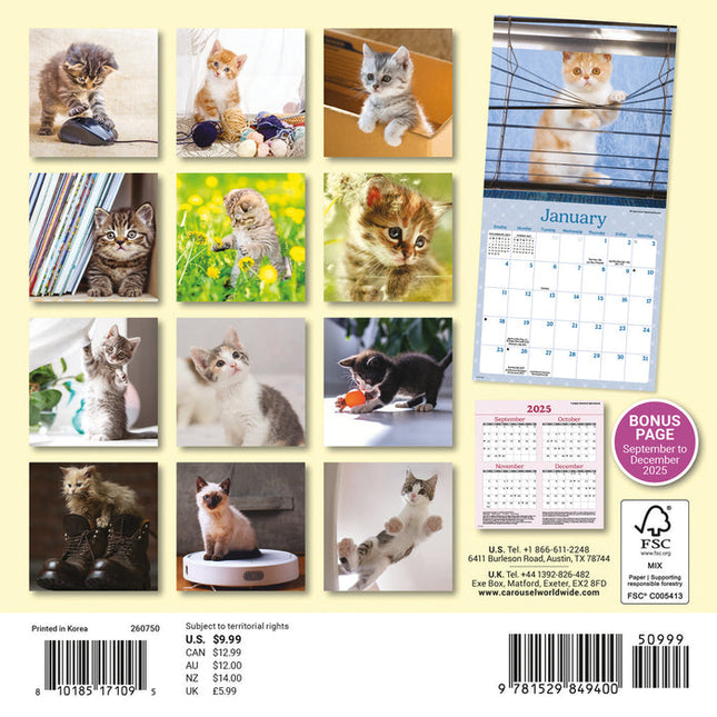 CarouselCalendars Nieuwsgierige Kittens Mini Kalender 2026