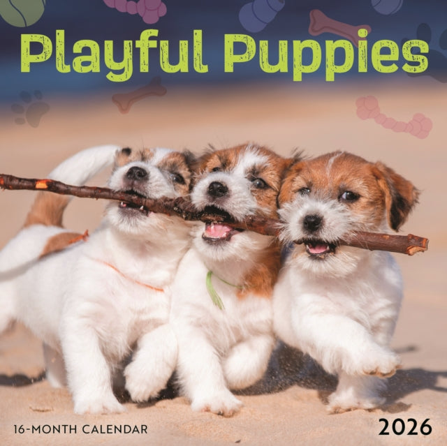 CarouselCalendars Playful Puppies Mini Kalender 2026