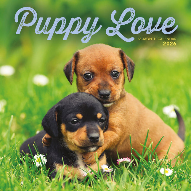 CarouselCalendars Puppie Liefde Kalender 2026