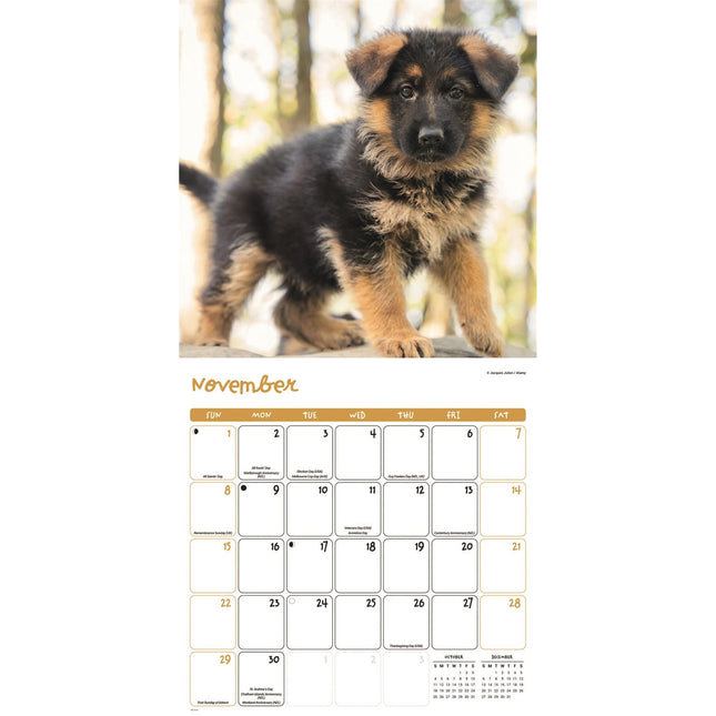 CarouselCalendars Puppies Kalender 2026