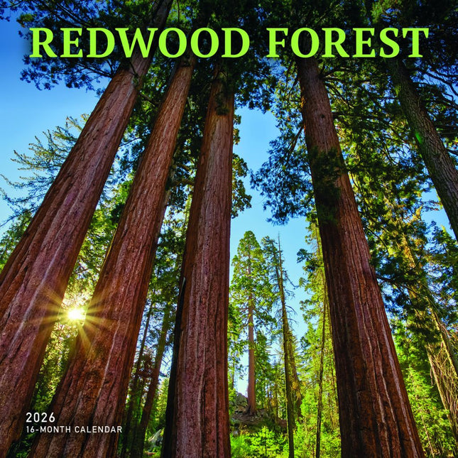 CarouselCalendars Redwood Bos Kalender 2026