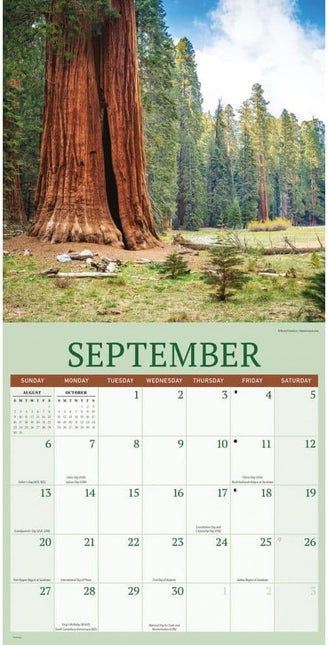 CarouselCalendars Redwood Bos Kalender 2026
