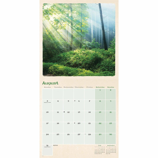 CarouselCalendars Scenic Woodland Kalender 2026